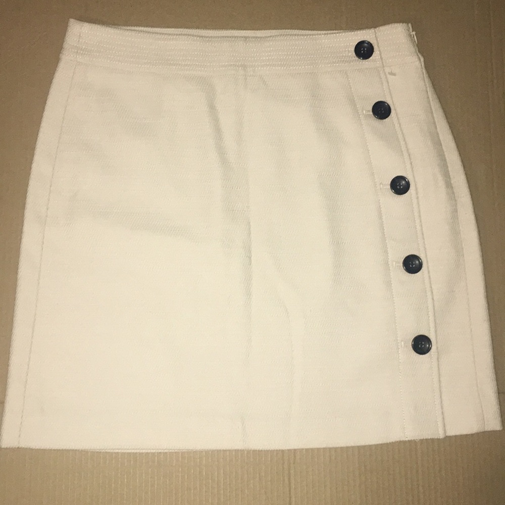 Ann Taylor Skirt